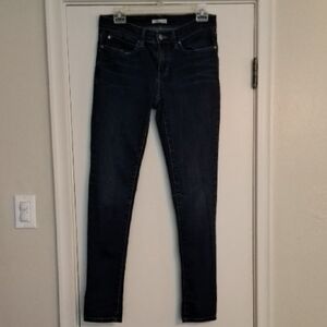 Eileen Fisher Blue Skinny Jeans Classic Fit